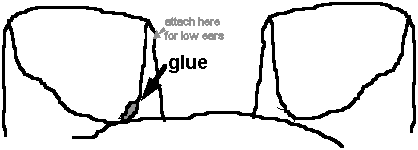 Glue ear over. Top inside edge to lower inside at top of head