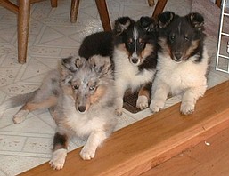 Breezy, Kizzy, & Sarah