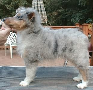 blu girl 10 1/2 weeks