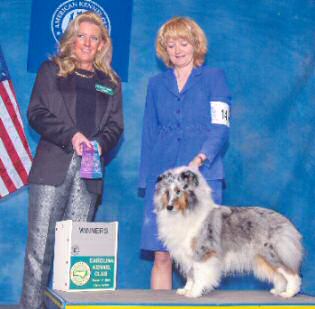 Emma, Carolina KC under Judge Deborah Tessman