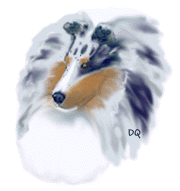 Image courtesy of Clan Duncan at http://www.kennelcity.com/index.html