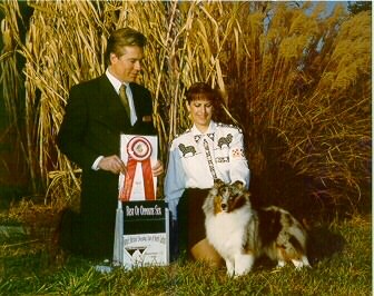 Ch Echowyn Soft Colors - BOB TSSCof NC Nov13,1999. D. Wheatcroft judging