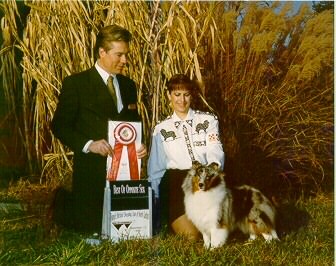 Ch Echowyn Soft Colors - BOB TSSCof NC Nov13,1999. D. Wheatcroft judging