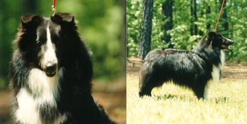 Onyx at 1 year