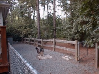 Gate opens into a fenced acre that is open and wooded for plenty of exercise!